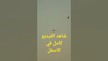 Hunting رحلة صيد في البرية 