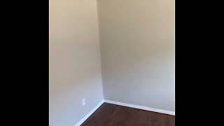 Ayer’s | Virtual Tour | 1 bed 1 bath