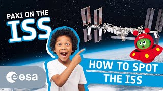 Paxi on the ISS | How to spot the Station