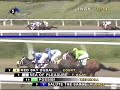 San Miguel Handicap