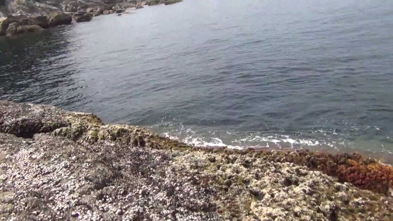 すさみ 地 磯