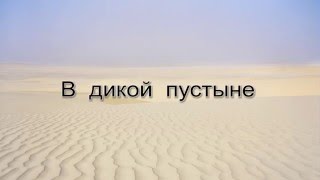 В дикой пустыне (минус)