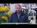 ¡EL MERCADO DE JAMAICA CUMPLE 69 AÑOS! 🌼