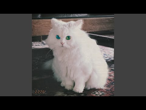 밤바다 (Bambada)