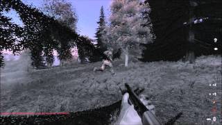 DayZero - Random #1