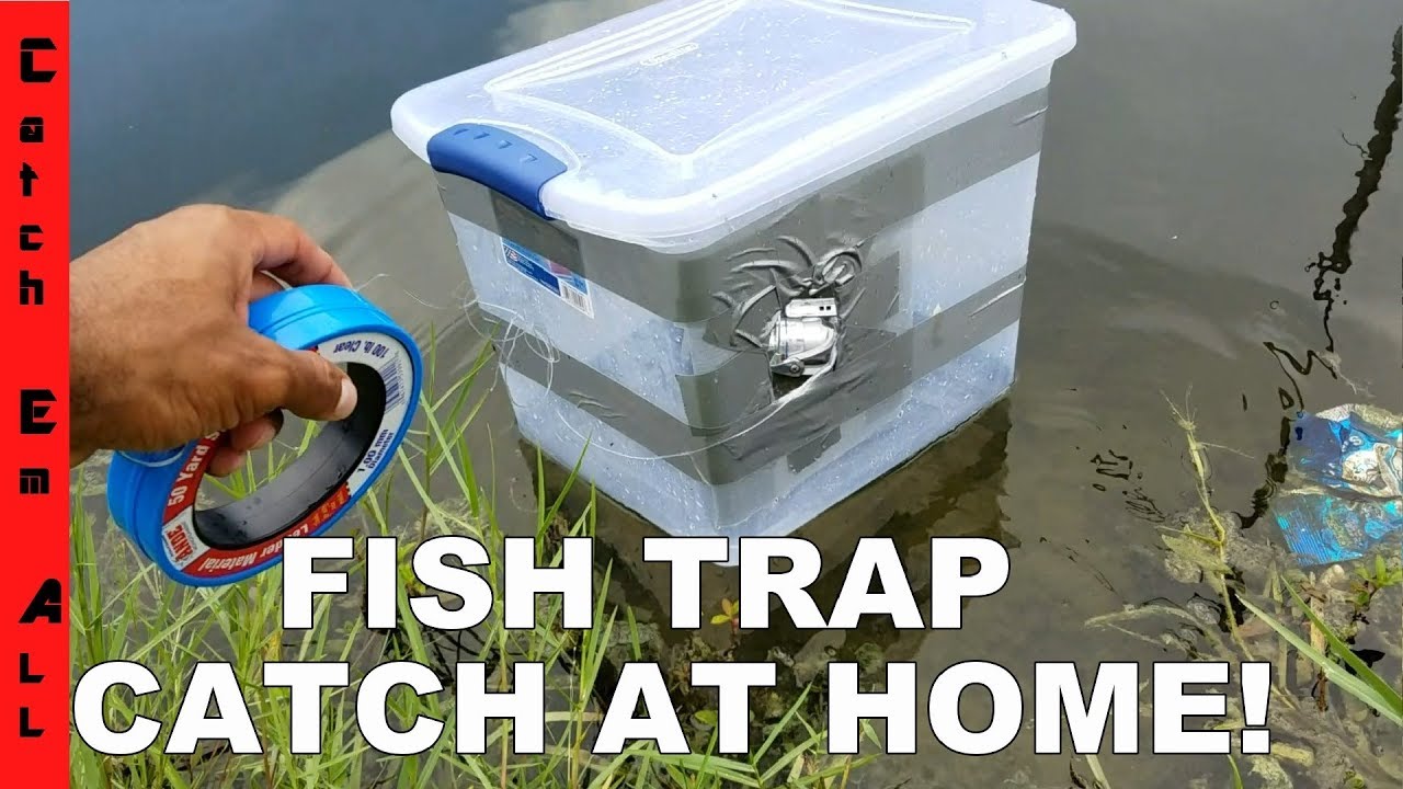 FISH TRAP BIN!: Homemade DIY Fish Trap Catches Fish! 