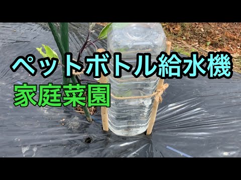 灌水システムDIY設置法：水やり時間を半減する実践手順