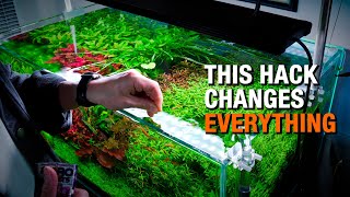 This Aquarium Hack Changes Everything Youll Never Go Back