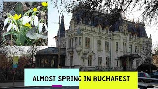 Almost SPRING in BUCHAREST - Aproape PRIMĂVARĂ în BUCUREȘTI
