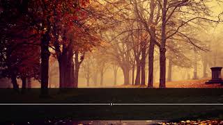 Salah Musali - Surja Muzemil | Surah Al-Muzzammil (The Enshrouded one)