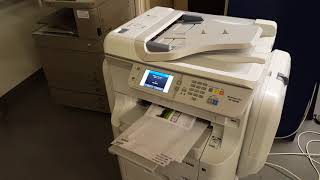 Epson 8590rips demo