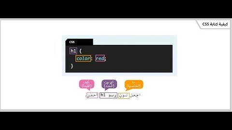 شرح + حل الفصل التاسع عشر (الفصل 19) منصة QUREO اليابانية برمجة وذكاء اصطناعي للصف الاول الثانوي