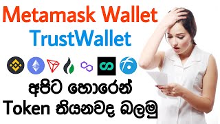 Trust Wallet / Metamask Wallet එකේ තියන Token හොයාගමු | Singhe Airdrops | Emoney Sinhala