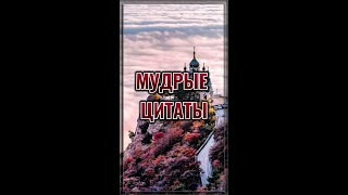 МУДРЫЕ ЦИТАТЫ 