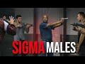 Cold sigma males  compilation