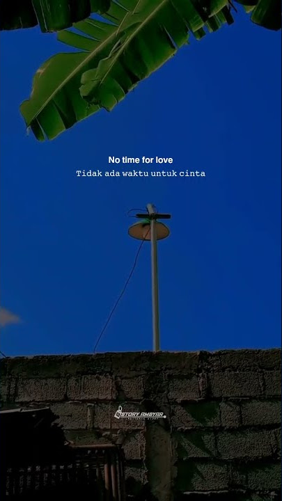STORY WA TERBARU VIRAL TIK TOK NO TIME FOR LOVE