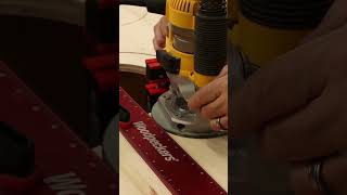 Dewalt Figure 8 Dust Separator