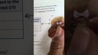 Full 3rd Grade Math Lesson 1 Session 2 Rounding to the Nearest Ten I-Ready Math News