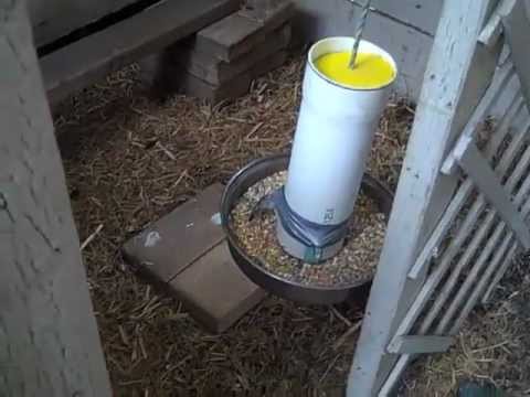 Making A Diy Gravity Feeder For Chickens Youtube