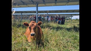 Colorado Agrivoltaic Learning Center Webinar - What's New in Agrivoltaics Policy