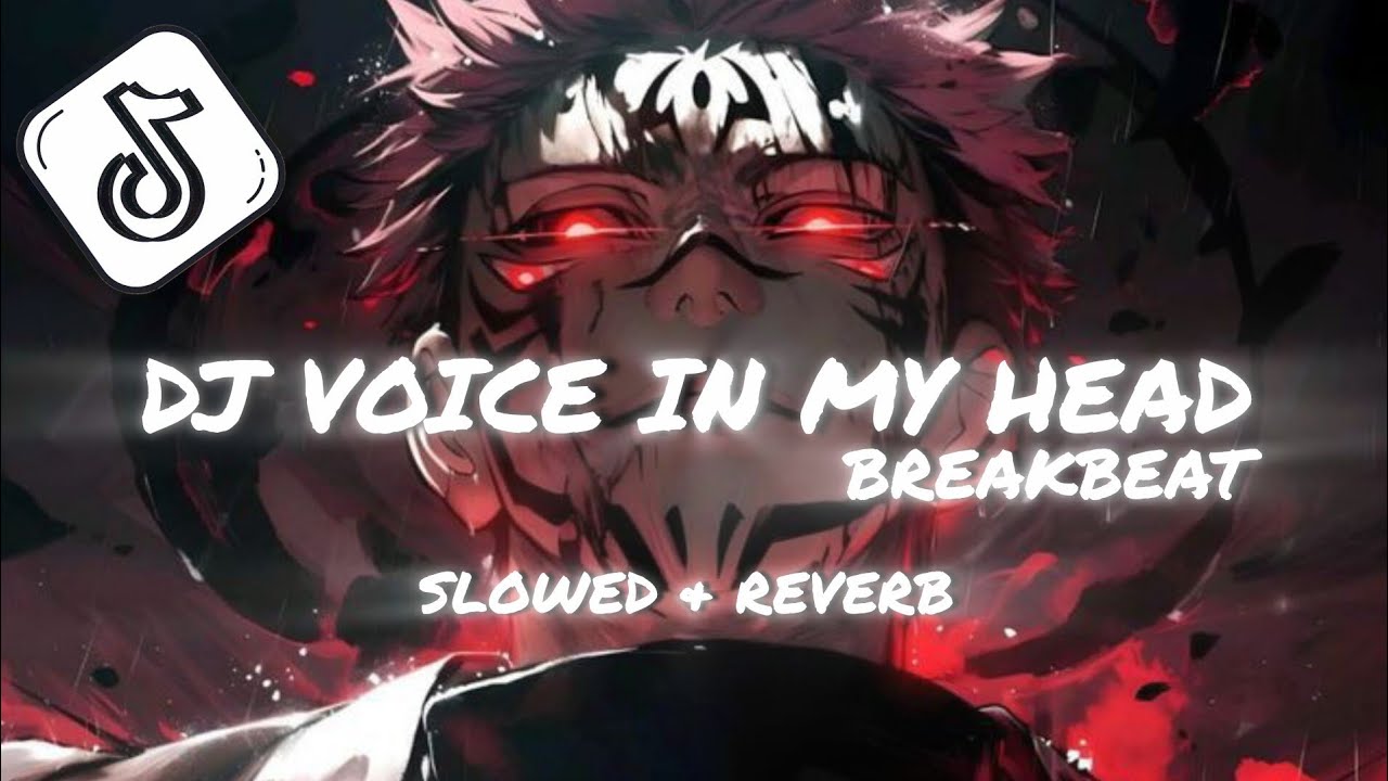 DJ VOICE IN MY HEAD BREAKBEAT / Slowed & Reverb DJ VOICE IN MY HEAD BREAKBEAT / Slowed & Reverb