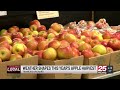 Tanner's Orchard Apple Harvest