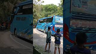 Trouble Is A Friennd ,,.,... 🔥🔥🤩