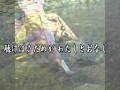 ♪音信川夜曲(唄:男宿さん)