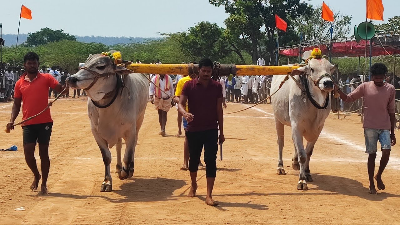 అహోబిలం  న్యూ కేటగిరి విభాగంలో 9వ జత
