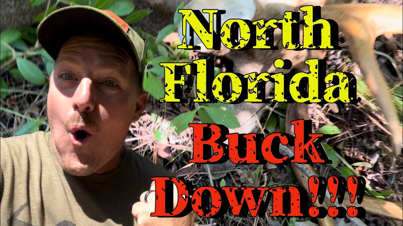 Rattling In Deer On Last Day Of Archery Buck Down Florida Bow rattling-in-deer-on-last-day-of-archery-buck-down-florida-bow