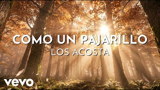 Los Acosta - Como Un Pajarillo (Visualizer)
