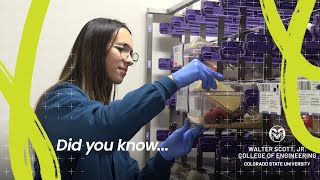 CSU Did you Know Series: Microgravity