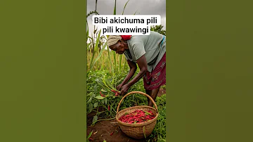 BIBI AKICHUMA PILI PILI KWAWINGI Subscribe 1million 