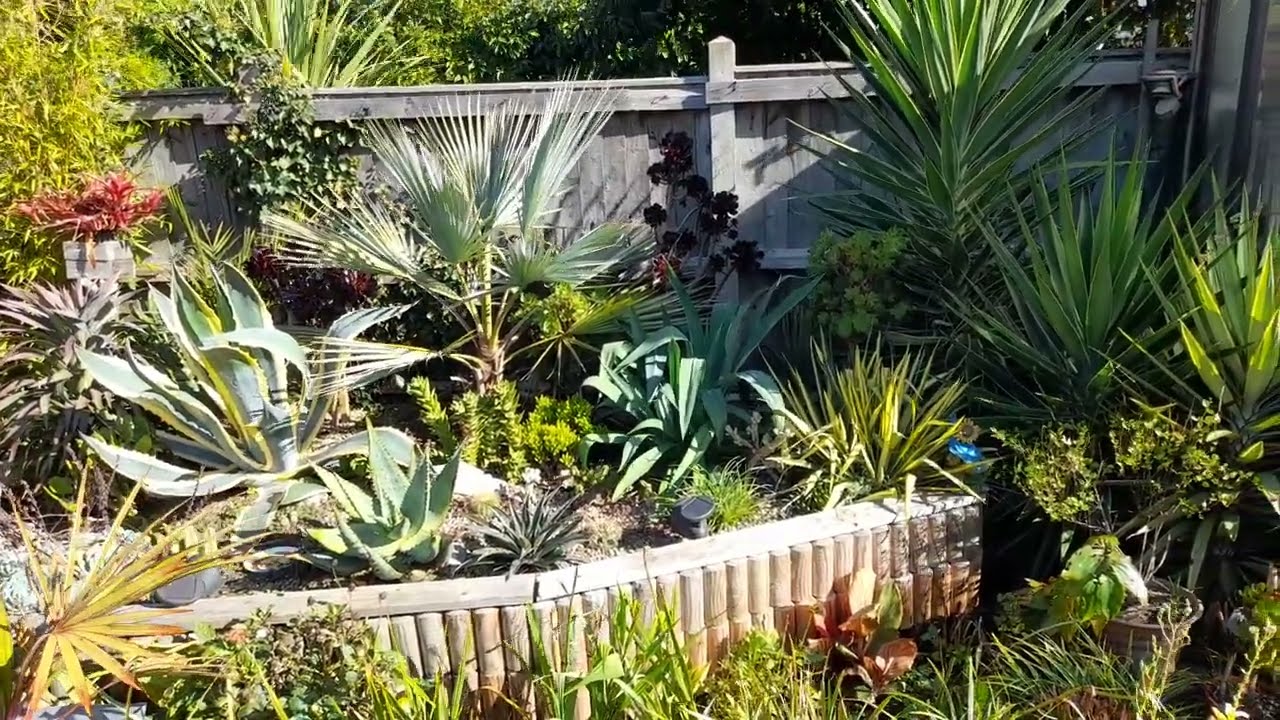 Winter protection for arid plants