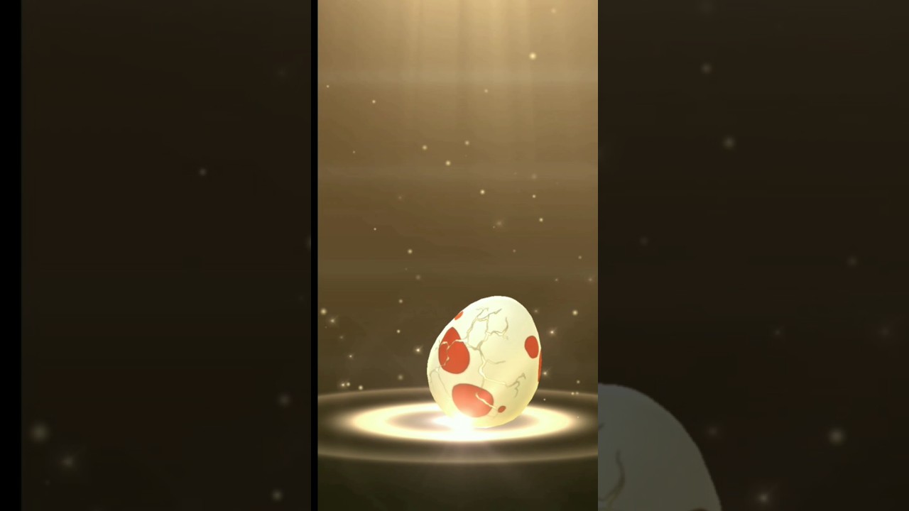 12 km Egg Hatches Pokemon go 🍀 