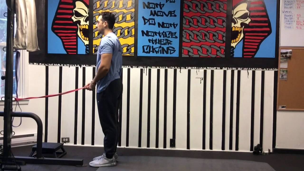 Closed Chain Terminal Knee Extension YouTube