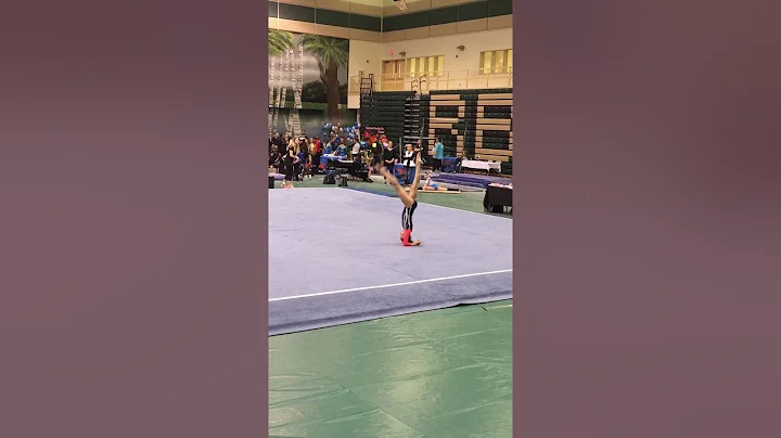 Gillian Wilson Level 9 State Meet Floor