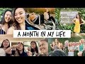 A MONTH IN MY LIFE | kathleenngo