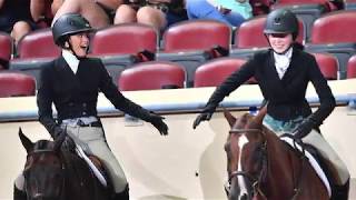 A Judges Perspective 2018 Aqhya Working Hunter World Champion
