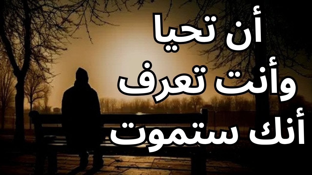 خواطر مسائية / الحياة في ظلال الموت