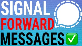 How To Forward Messages On Signal screenshot 4