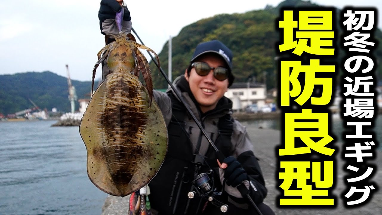 近場でエギング♪「エギ王におまかせ!!」上天草