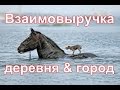 Взаимовыручка в деревне и в городе//Переезд в деревню