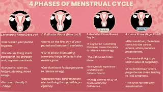 performance task#1 in science 10 (menstrual cycle)