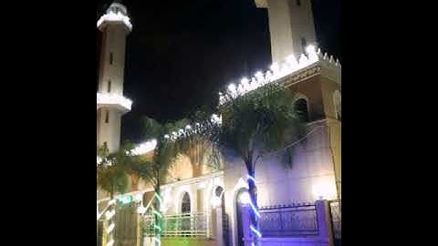 صلاة التراويح | القارئ عمر شلبي |