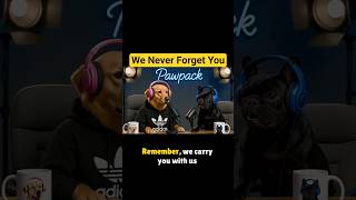 We Never Forget You 🐶❤️ | Dogs Remember Love Forever#dogs #funnydog #dogtalk #dogspodcast
