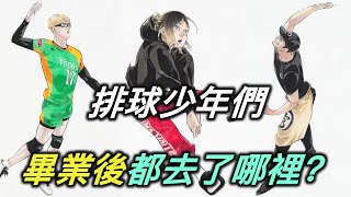 排球少年畢業後的排球少年們都去了哪裡【RIVER動漫點名錄】