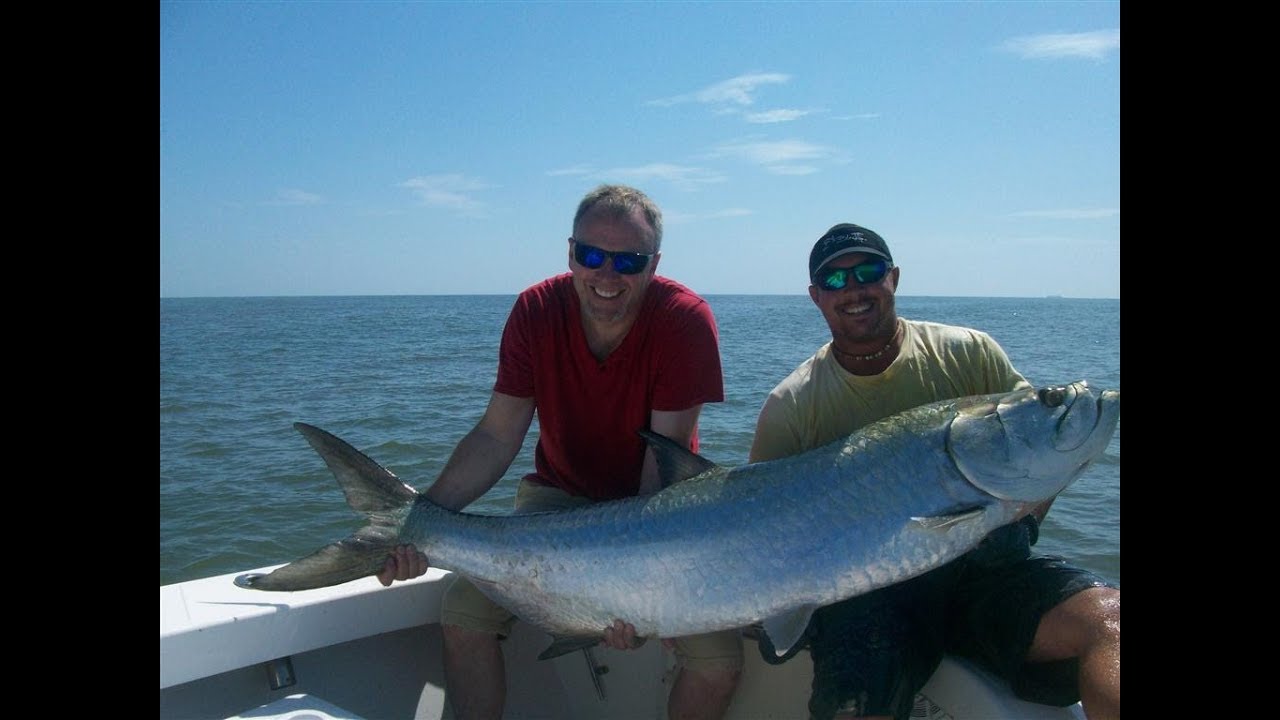 Tarpon Fishing Video intro to Tarpon Fishing in Coastal YouTube