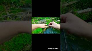 Рыбалка на голавля. Рыбалка на спининг в малой реке #fishing #рыбалка