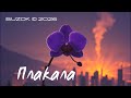 BUZOK Плакала StopWar 2026 Remix